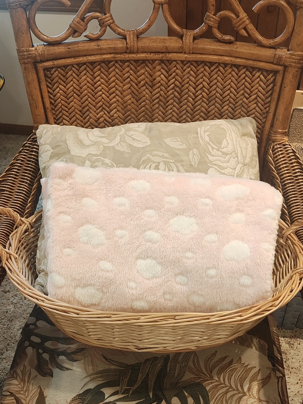 PETS: CAT SLEEP-NIGHT BUNDLE
